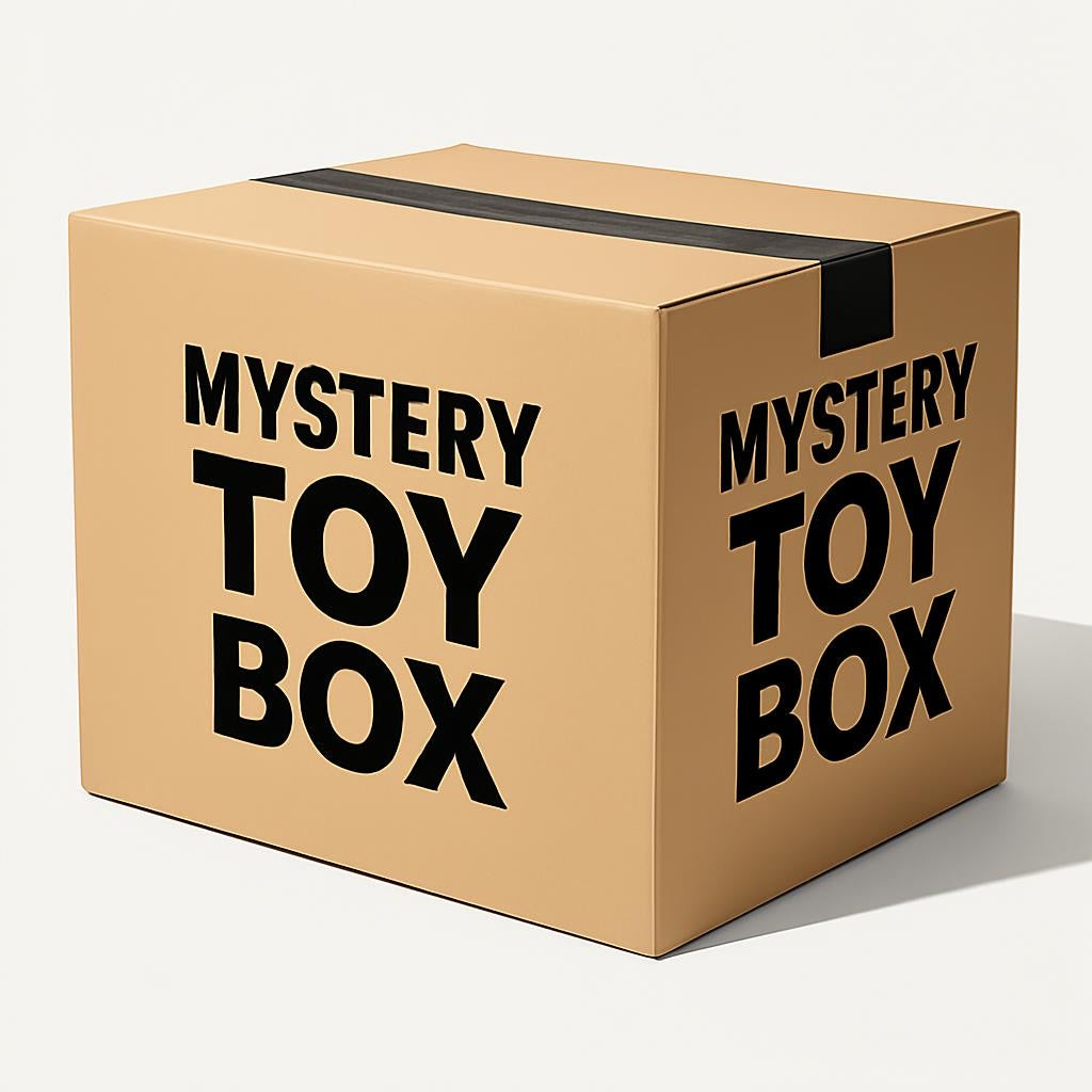 Mystery Toy Box 📦 LARGE 📦(Limited Availability)